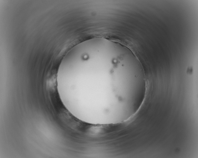 X0000112540190200908311455