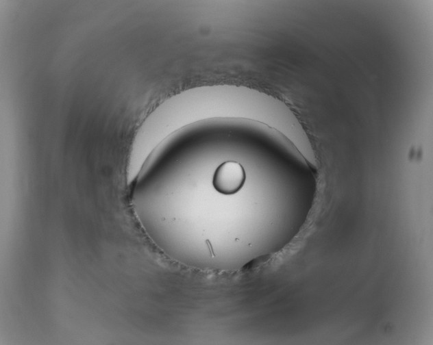 X0000112540192200908311455