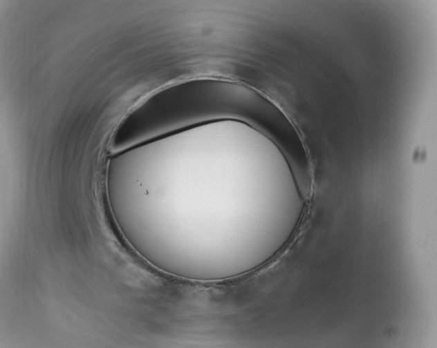 X0000112540193200908311454