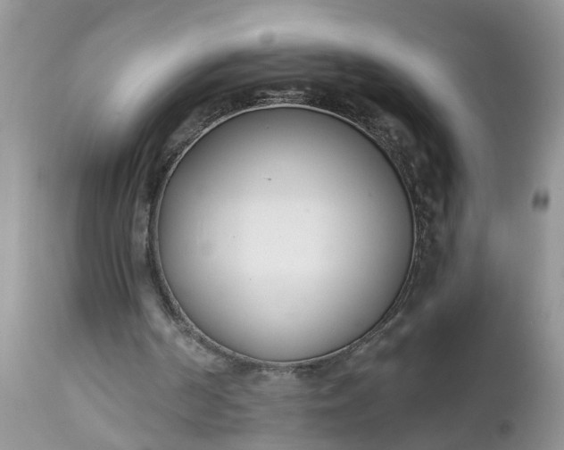 X0000112540194200908311454