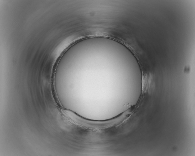 X0000112540195200908311454