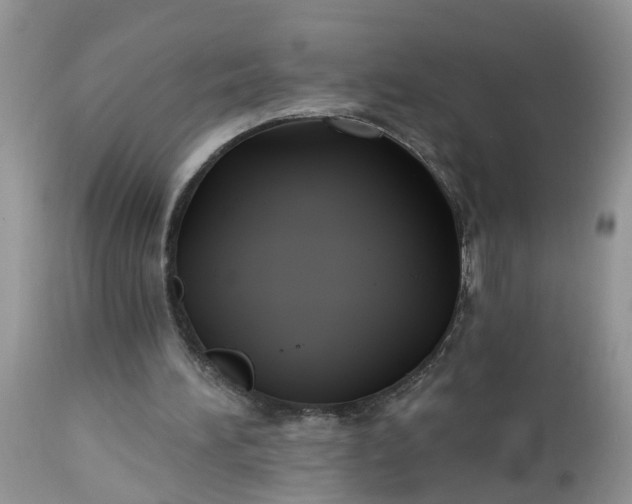 X0000112540196200908311454