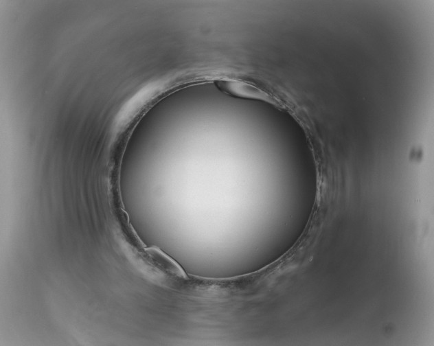 X0000112540197200908311454