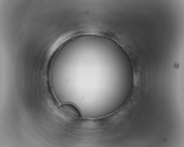 X0000112540198200908311454