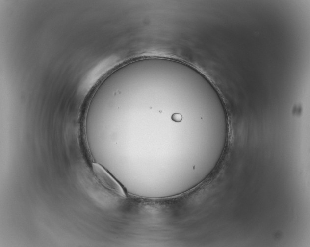 X0000112540199200908311454