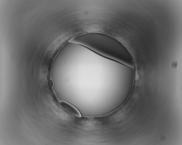 X0000112540201200908311454