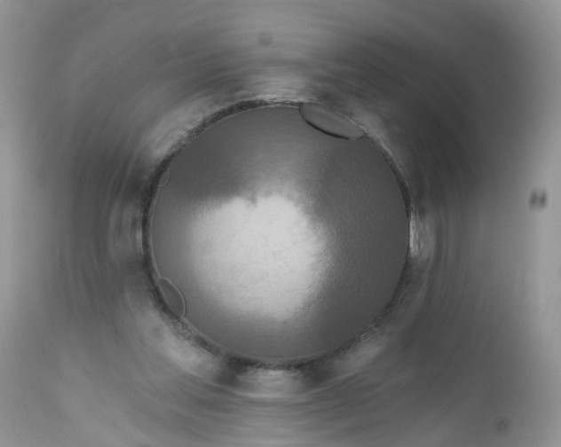 X0000112540205200908311454