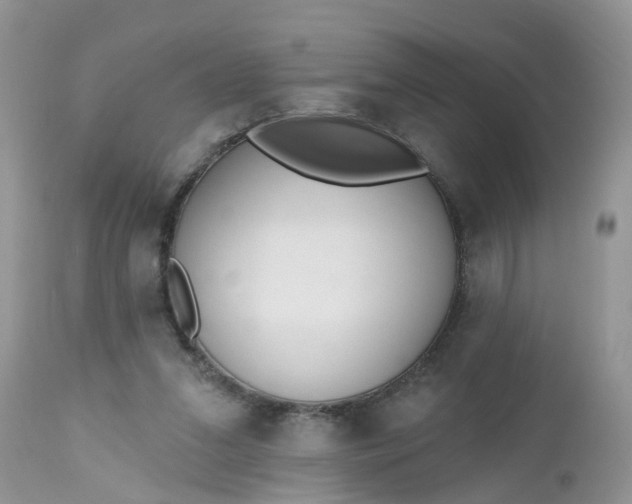 X0000112540207200908311454