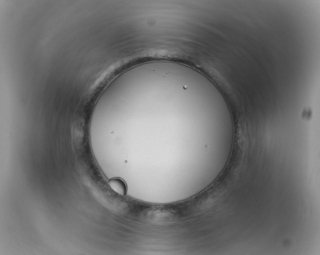 X0000112540208200908311454
