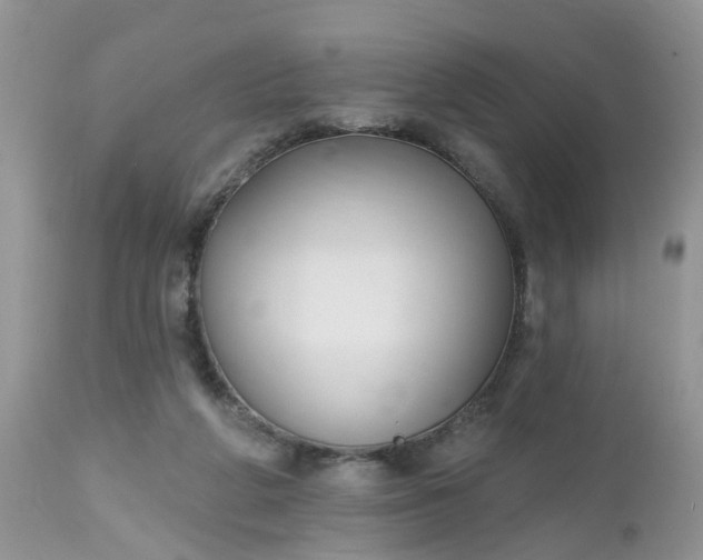 X0000112540210200908311454
