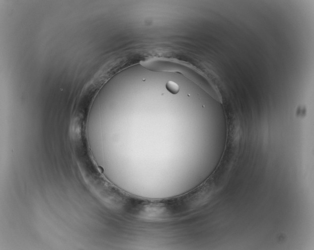 X0000112540214200908311454