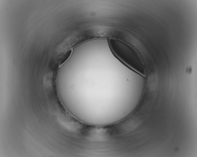 X0000112540217200908311454