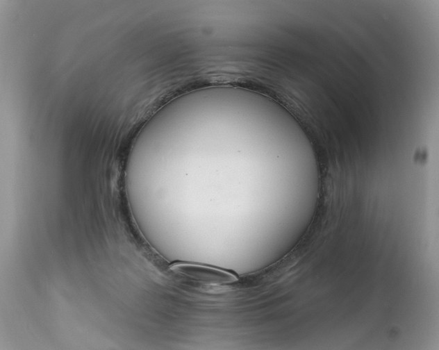 X0000112540219200908311454