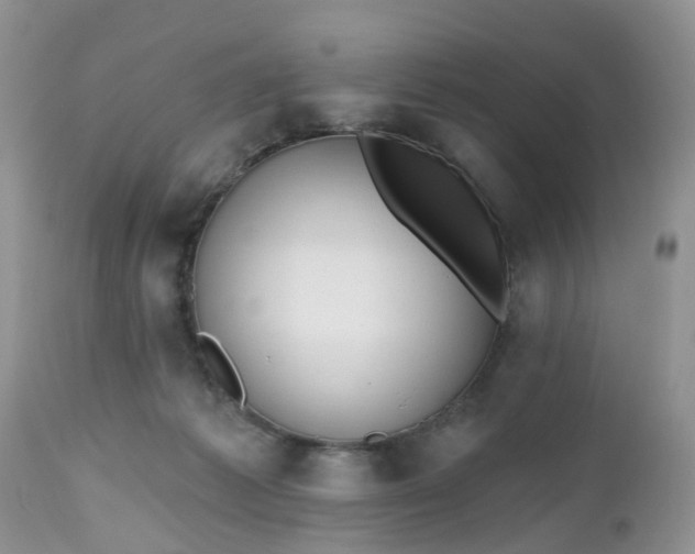 X0000112540221200908311454