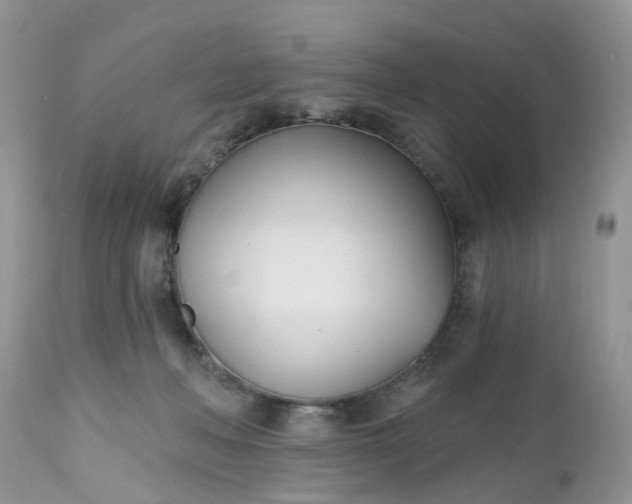 X0000112540222200908311454