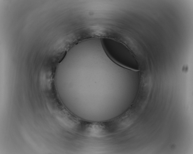 X0000112540223200908311454