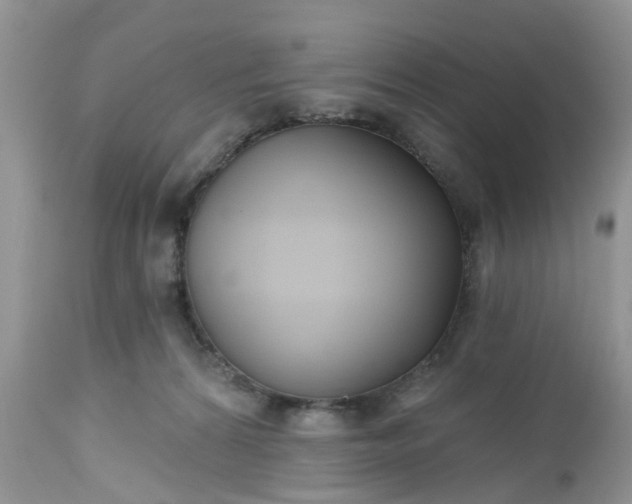 X0000112540224200908311454