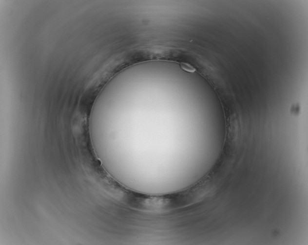 X0000112540225200908311454