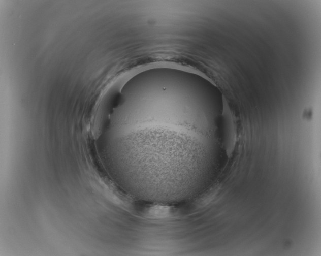 X0000112540227200908311454