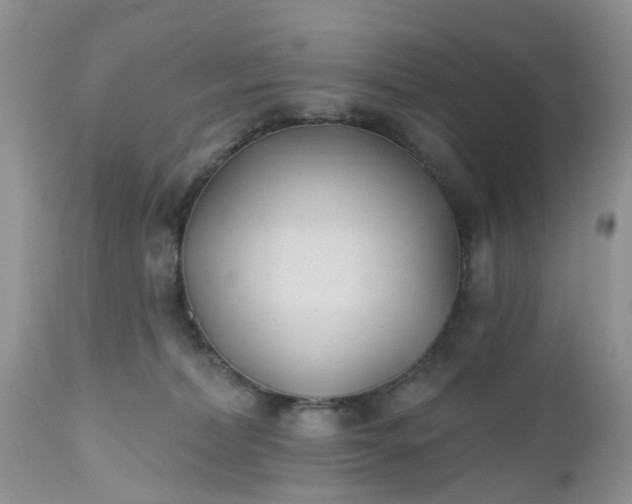 X0000112540228200908311454