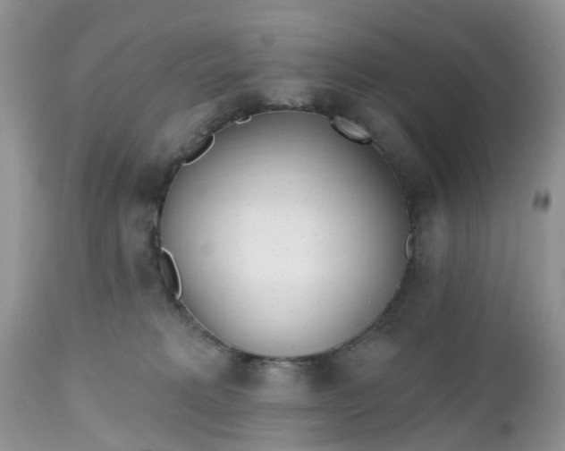 X0000112540229200908311454