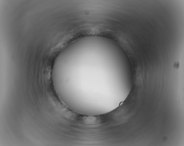 X0000112540230200908311454