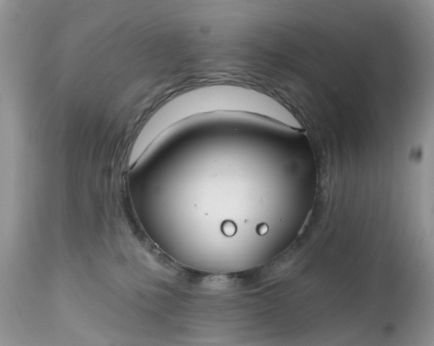 X0000112540231200908311454