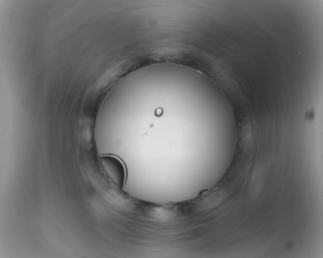 X0000112540232200908311454