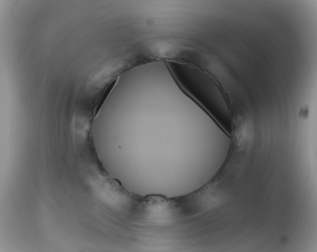 X0000112540235200908311454