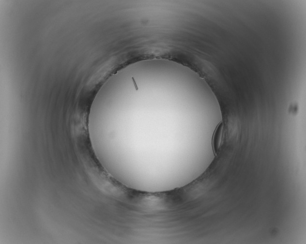 X0000112540236200908311454