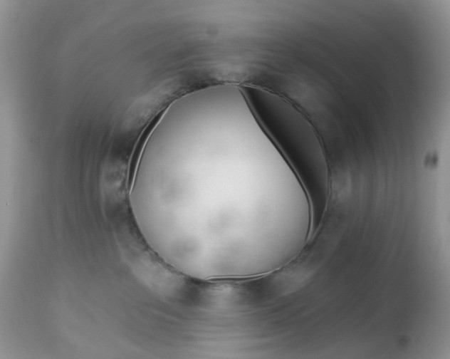 X0000112540237200908311454