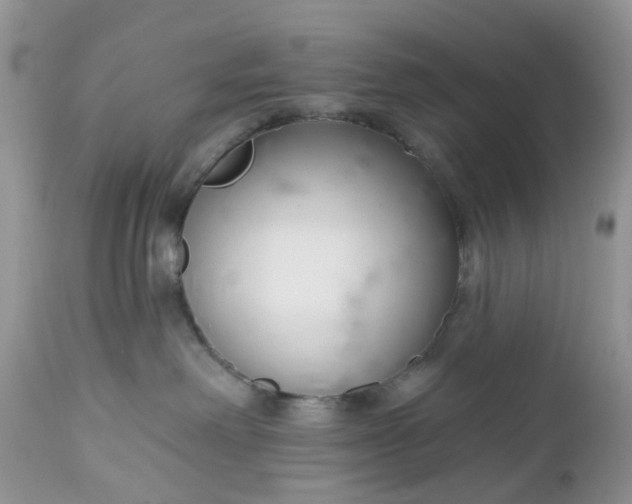 X0000112540238200908311454