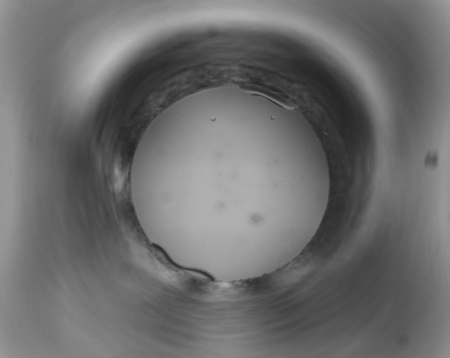 X0000112540239200908311453