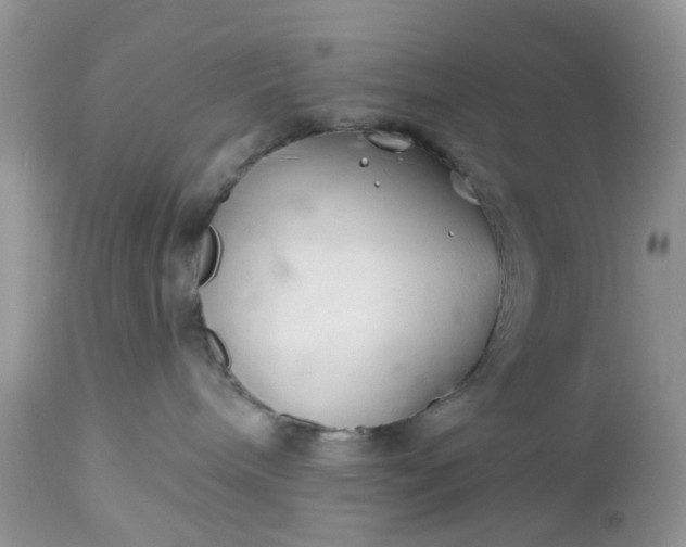 X0000112540240200908311453