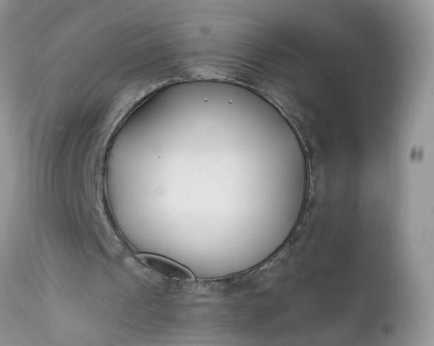 X0000112540241200908311453