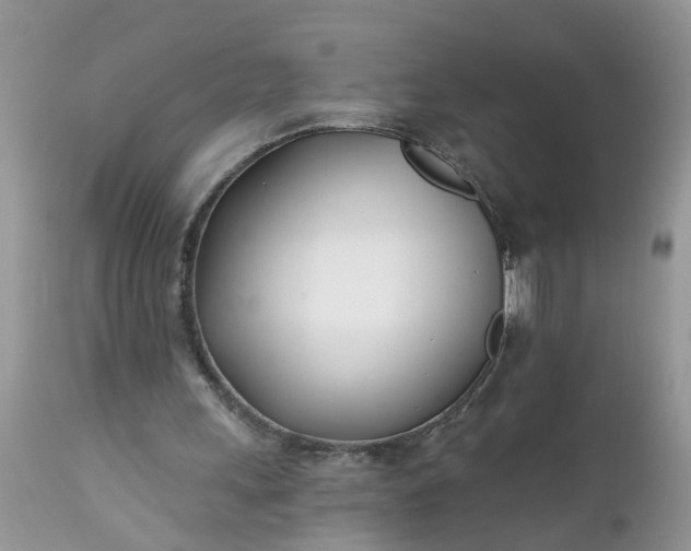 X0000112540243200908311453