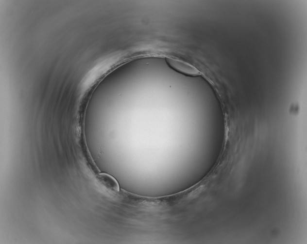 X0000112540245200908311453