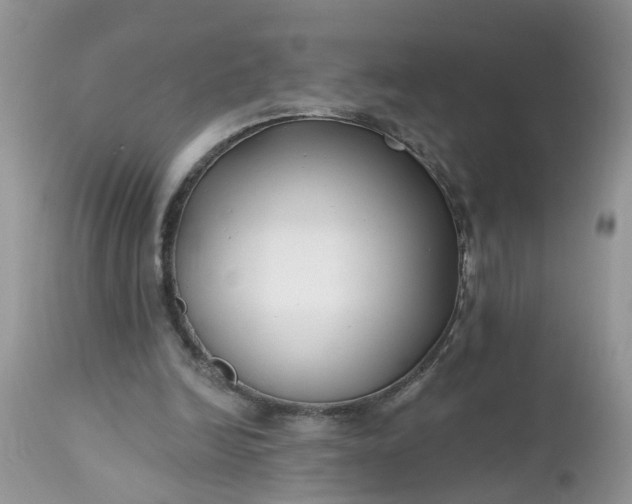 X0000112540246200908311453