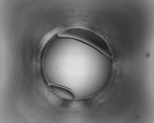X0000112540248200908311453