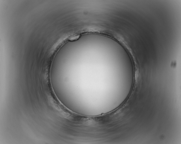 X0000112540249200908311453
