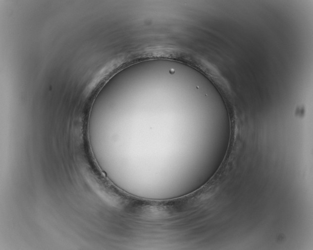 X0000112540250200908311453