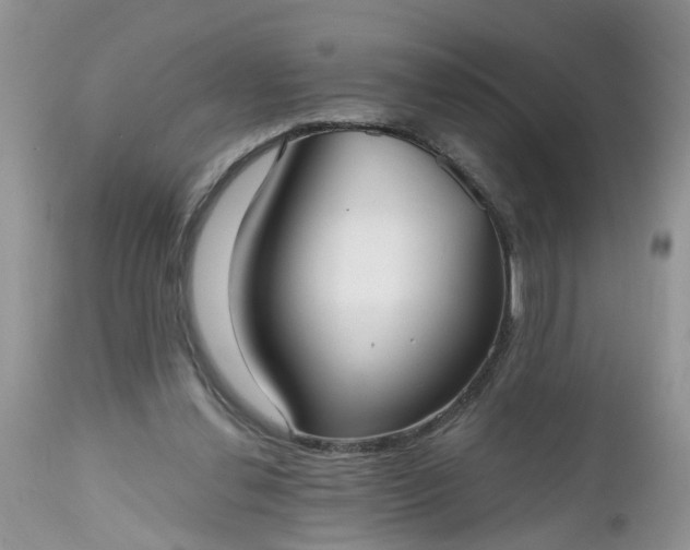 X0000112540252200908311453