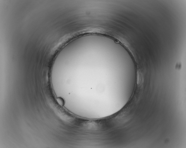 X0000112540253200908311453