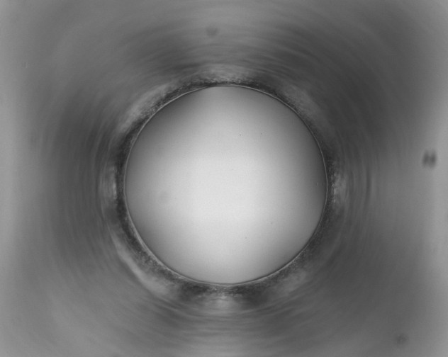 X0000112540254200908311453