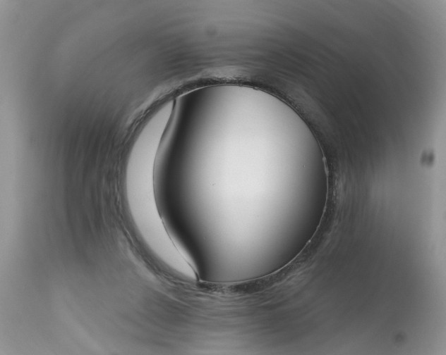 X0000112540256200908311453