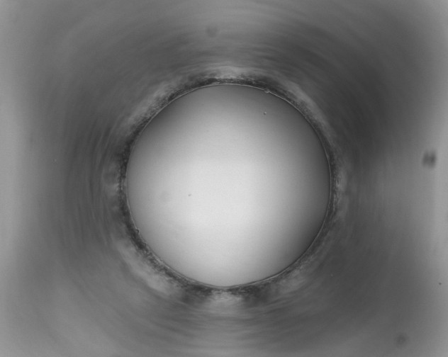 X0000112540257200908311453