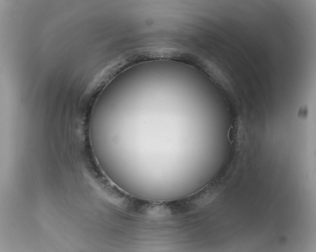 X0000112540258200908311453