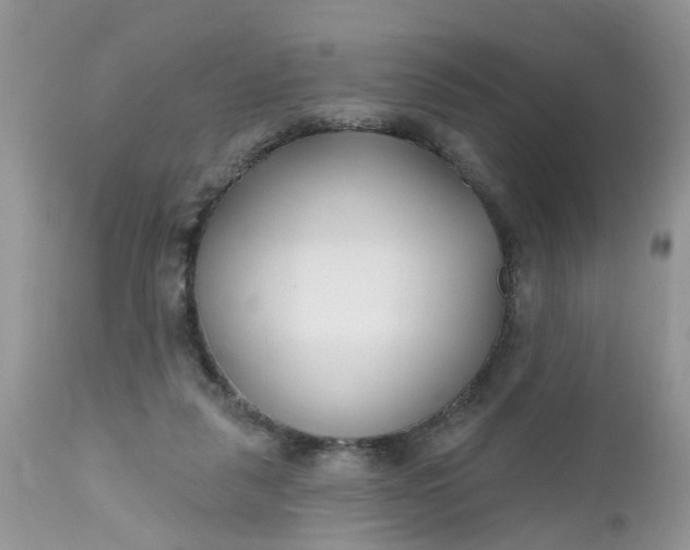 X0000112540259200908311453