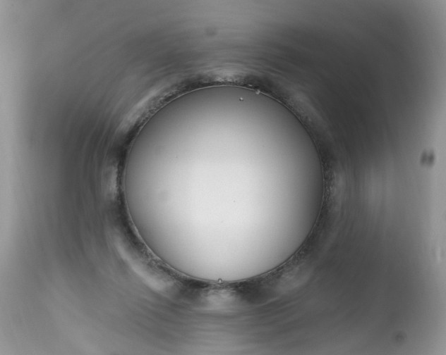 X0000112540262200908311453
