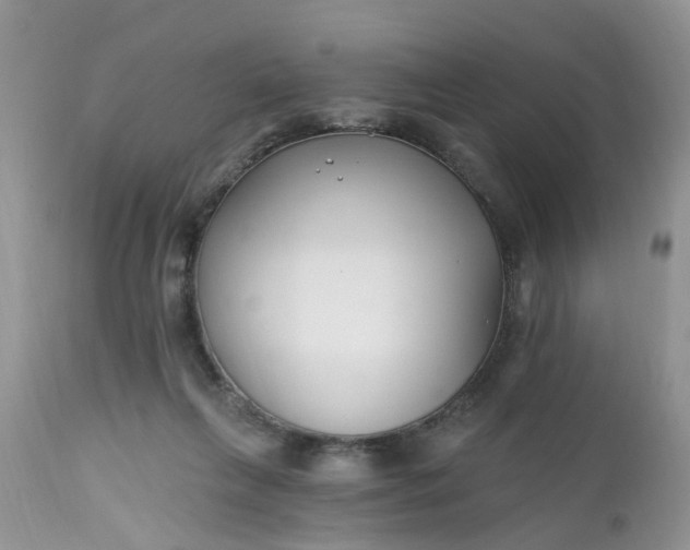 X0000112540263200908311453